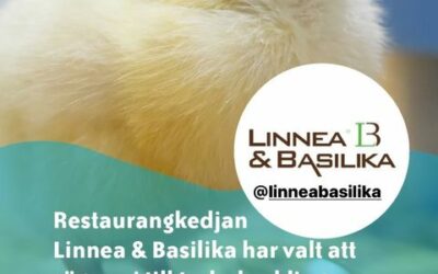 Linnea & Basilika Gruppen står bakom ECC för en bättre kycklingvälfärd.